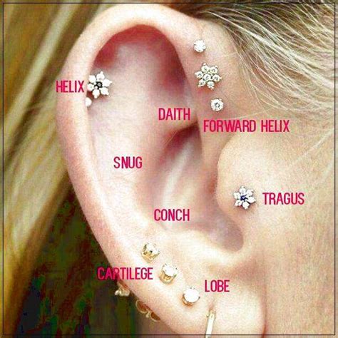 best piercing places near me|affordable piercing places near me.